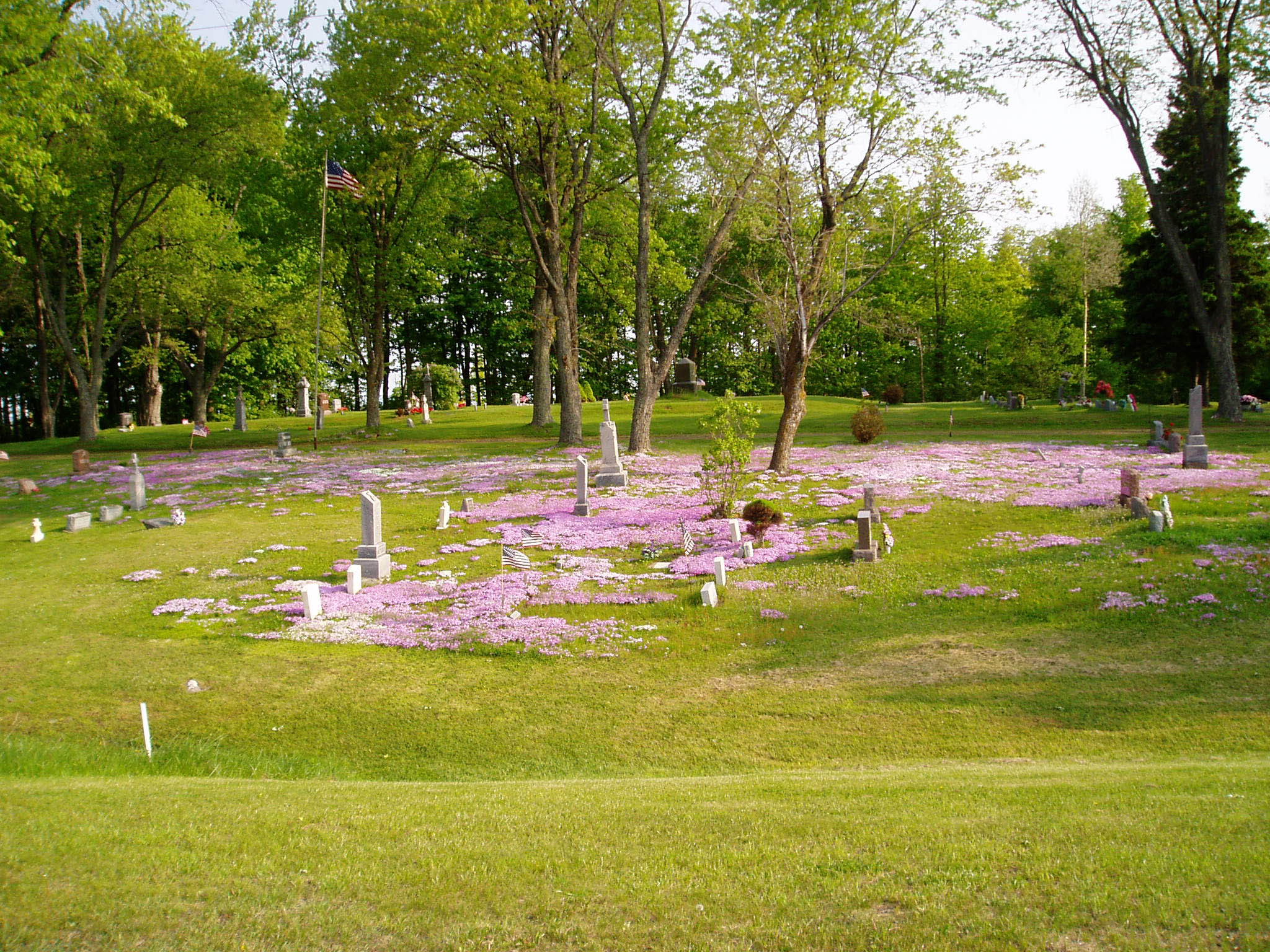 Minnesota Radon Project
